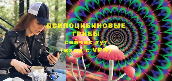 тгк Алзамай