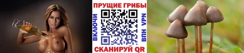 как найти закладки  Анива  мега ТОР  Галлюциногенные грибы Cubensis 